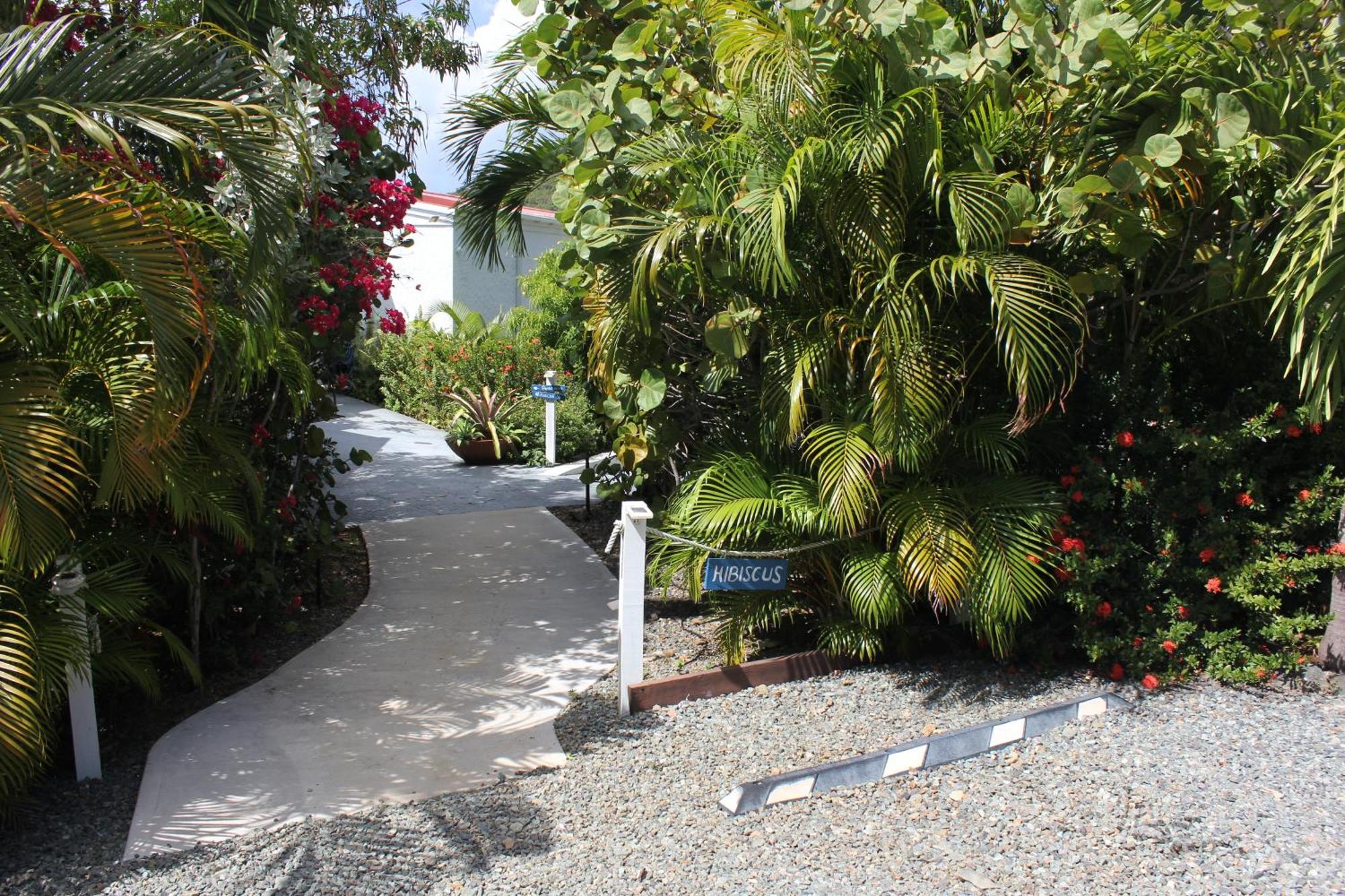 Fantastic Penthouse At Sunset Serenade Suites Cruz Bay Eksteriør bilde